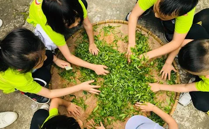 親子研學(xué)、家庭休閑為主要出游動機(jī)