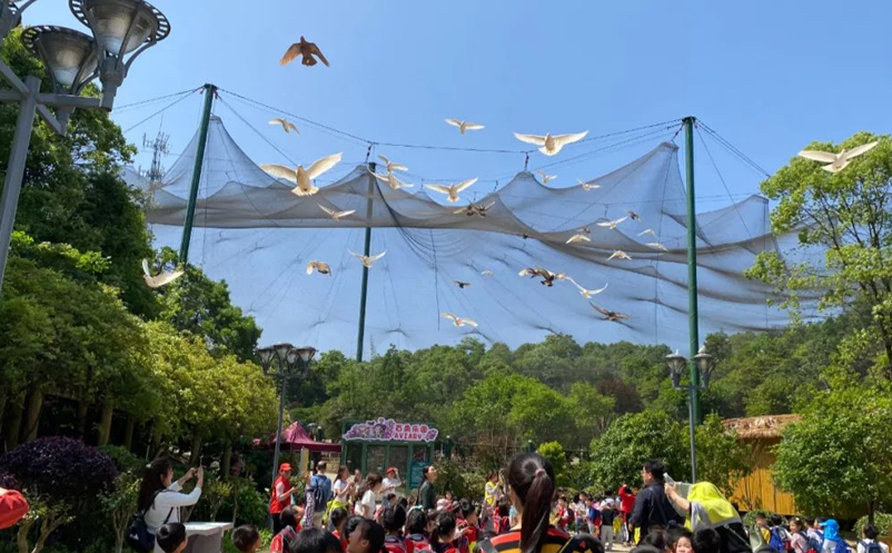 智慧旅游景區(qū)案例五：光明蝶谷飛鳥樂園