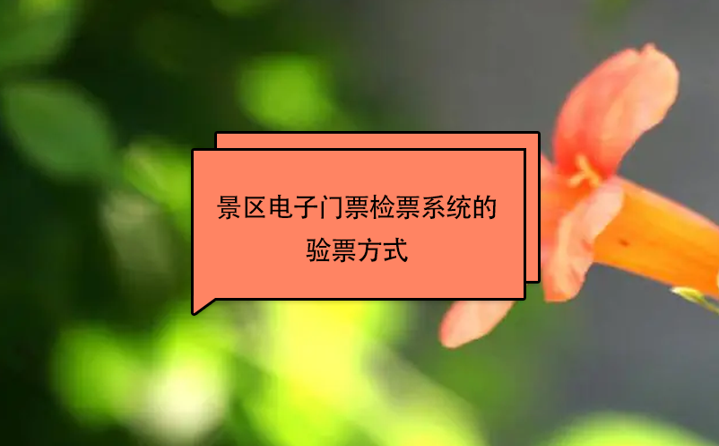 景區(qū)電子門票檢票系統(tǒng)的驗(yàn)票方式