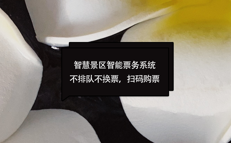 智慧景區(qū)智能票務(wù)系統(tǒng)不排隊(duì)不換票，掃碼購票