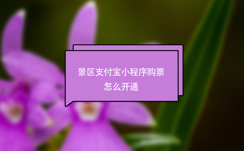 景區(qū)支付寶小程序購(gòu)票怎么開(kāi)通？