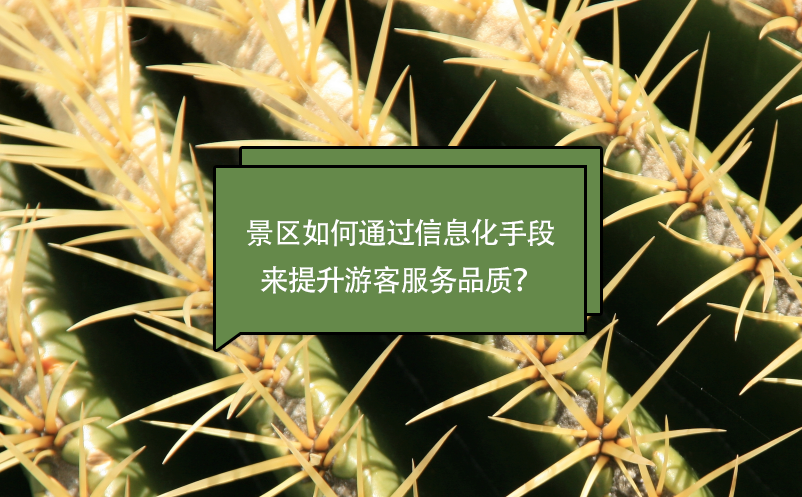 景區(qū)如何通過(guò)信息化手段來(lái)提升游客服務(wù)品質(zhì)？