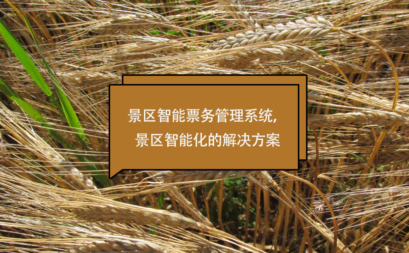 景區(qū)智能票務(wù)管理系統(tǒng)，景區(qū)智能化的解決方案
