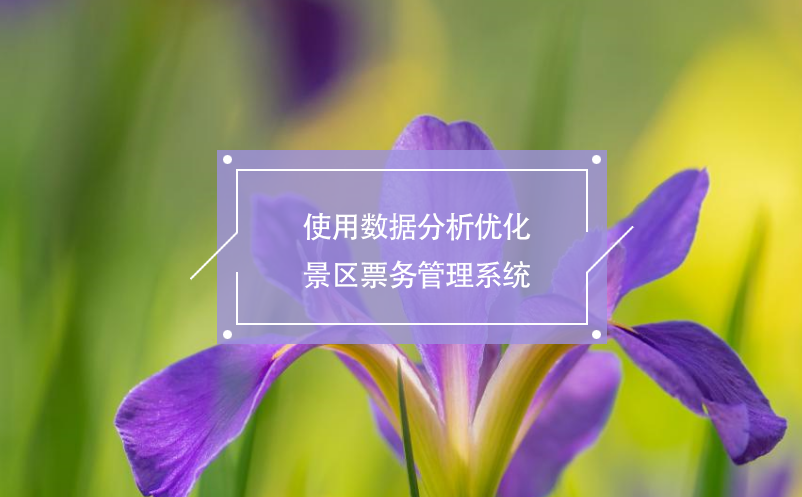 使用數據分析優(yōu)化景區(qū)票務管理系統(tǒng)
