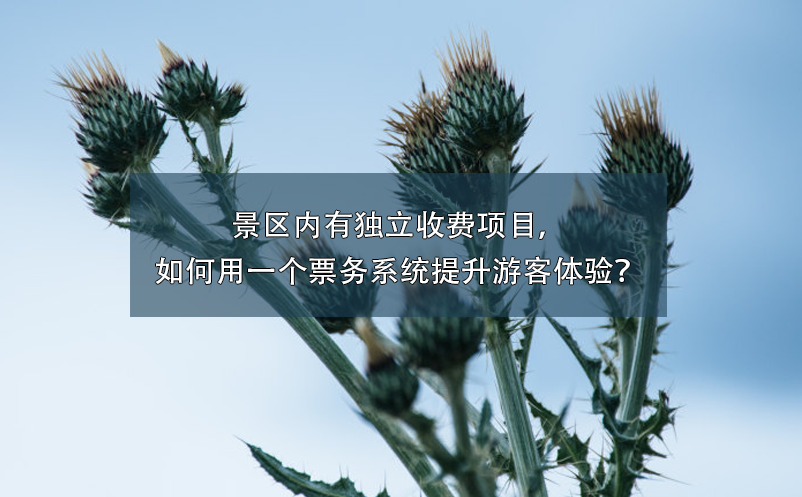 景區(qū)內(nèi)有獨(dú)立收費(fèi)項(xiàng)目，如何用一個(gè)票務(wù)系統(tǒng)提升游客體驗(yàn)？