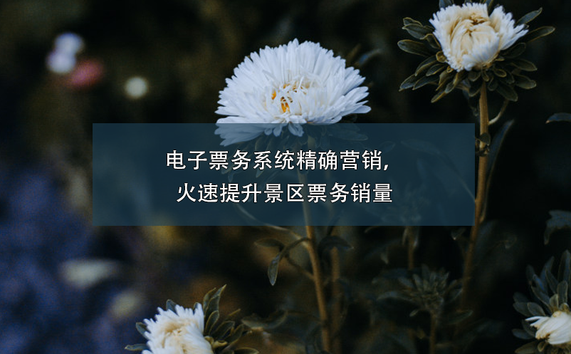 電子票務(wù)系統(tǒng)精確營銷，火速提升景區(qū)票務(wù)銷量
