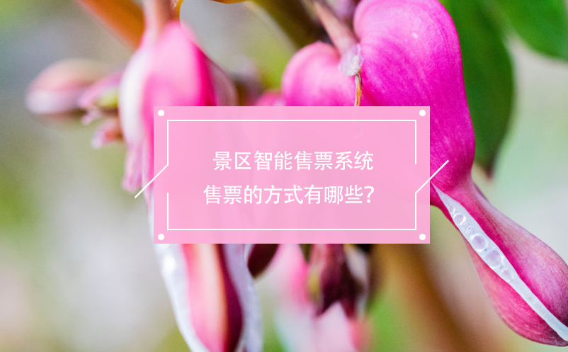 景區(qū)智能售票系統(tǒng)售票的方式有哪些？