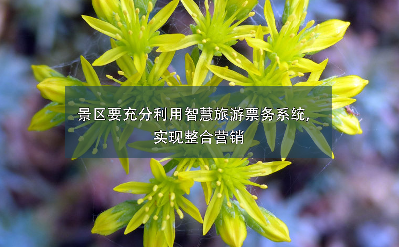 景區(qū)要充分利用智慧旅游票務(wù)系統(tǒng)，實(shí)現(xiàn)整合營銷