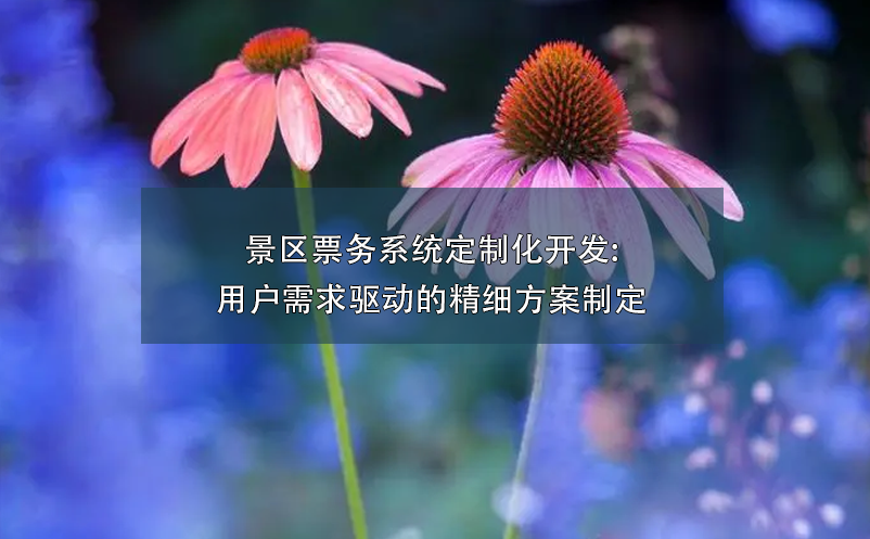 景區(qū)票務系統(tǒng)定制化開發(fā):用戶需求驅動的精細方案制定